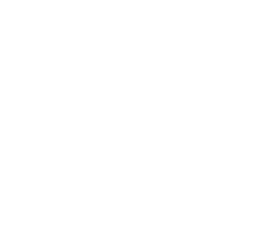 Bllue Star Families white star emblem on a transparent background