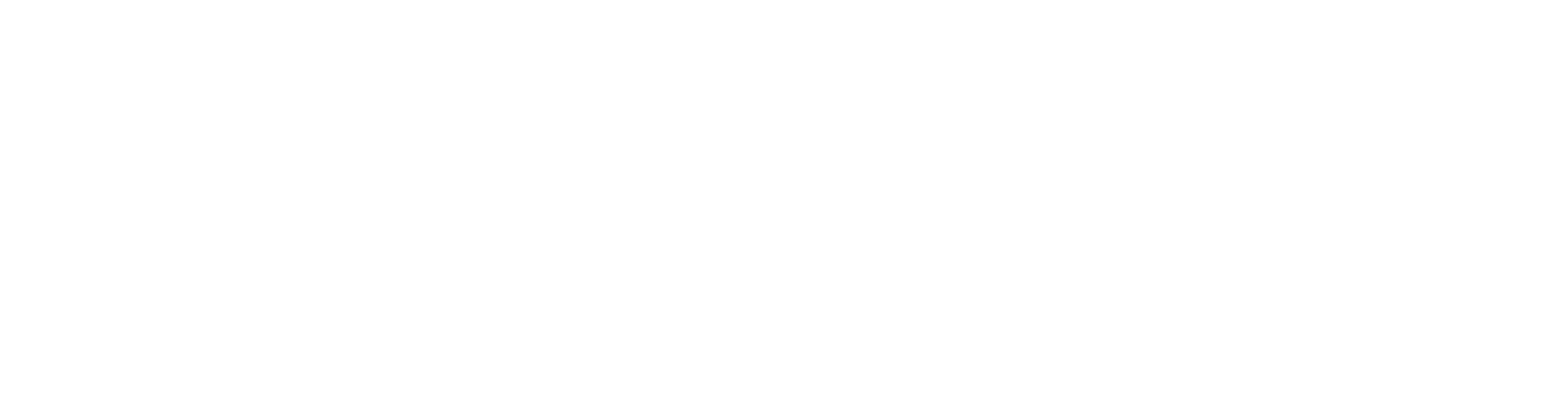 Annual Military Lifestyle Survey (aMFLS) white transparent logo