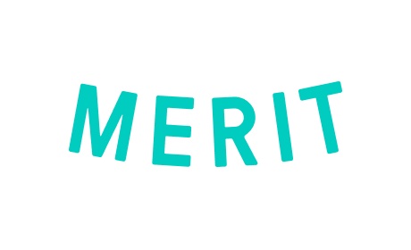 merit logo _ turquiose - white bg copy