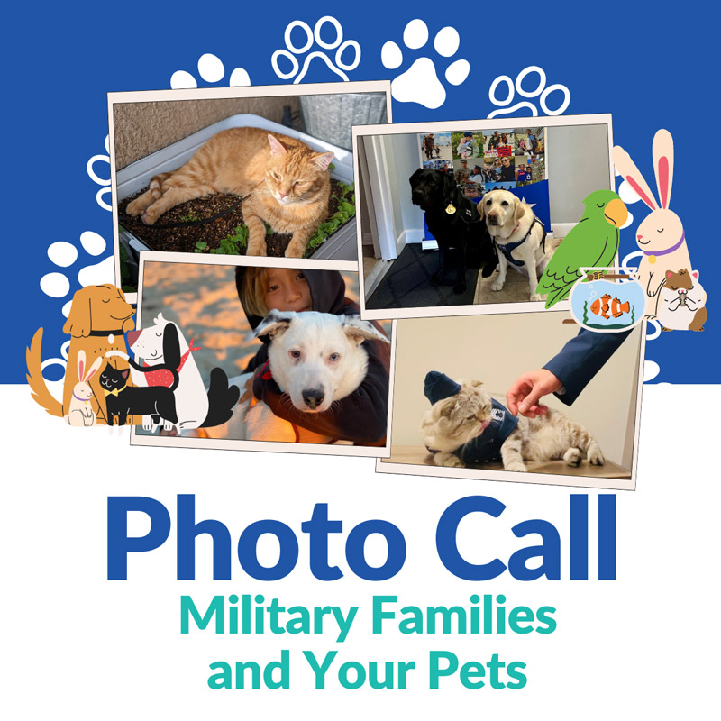 July-2024--Photo-Call-Images-(Military-Families-&-Pets)--Social-(1)