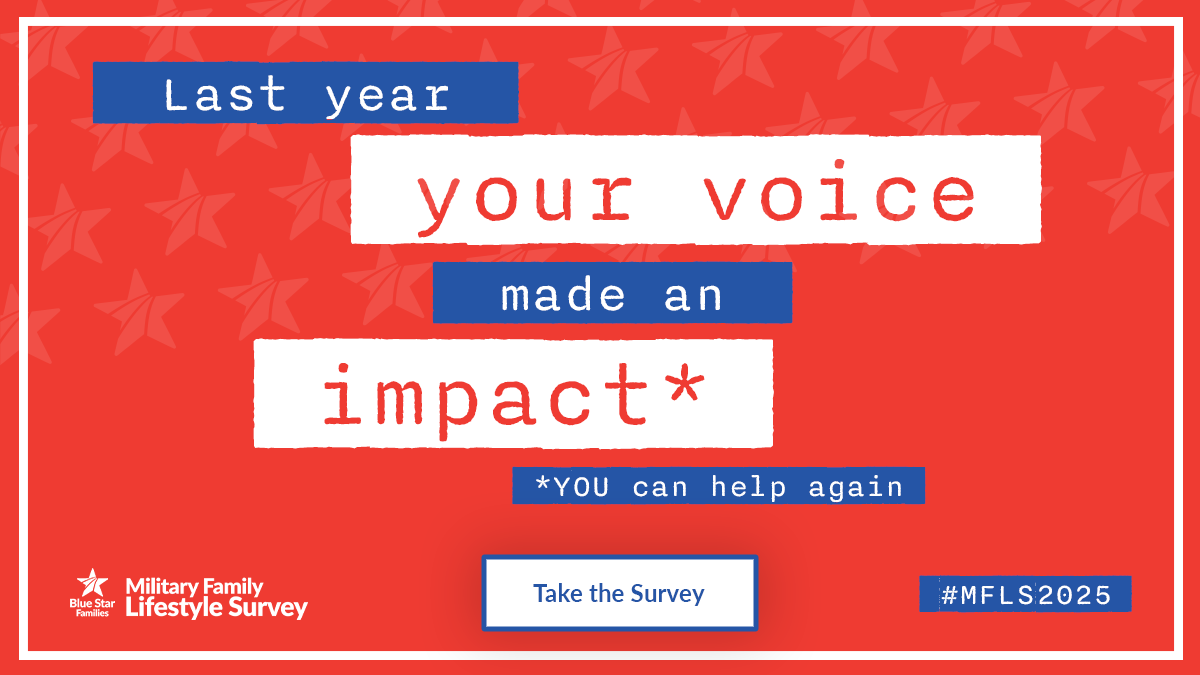 Military Family Lifestyle Survey 2025