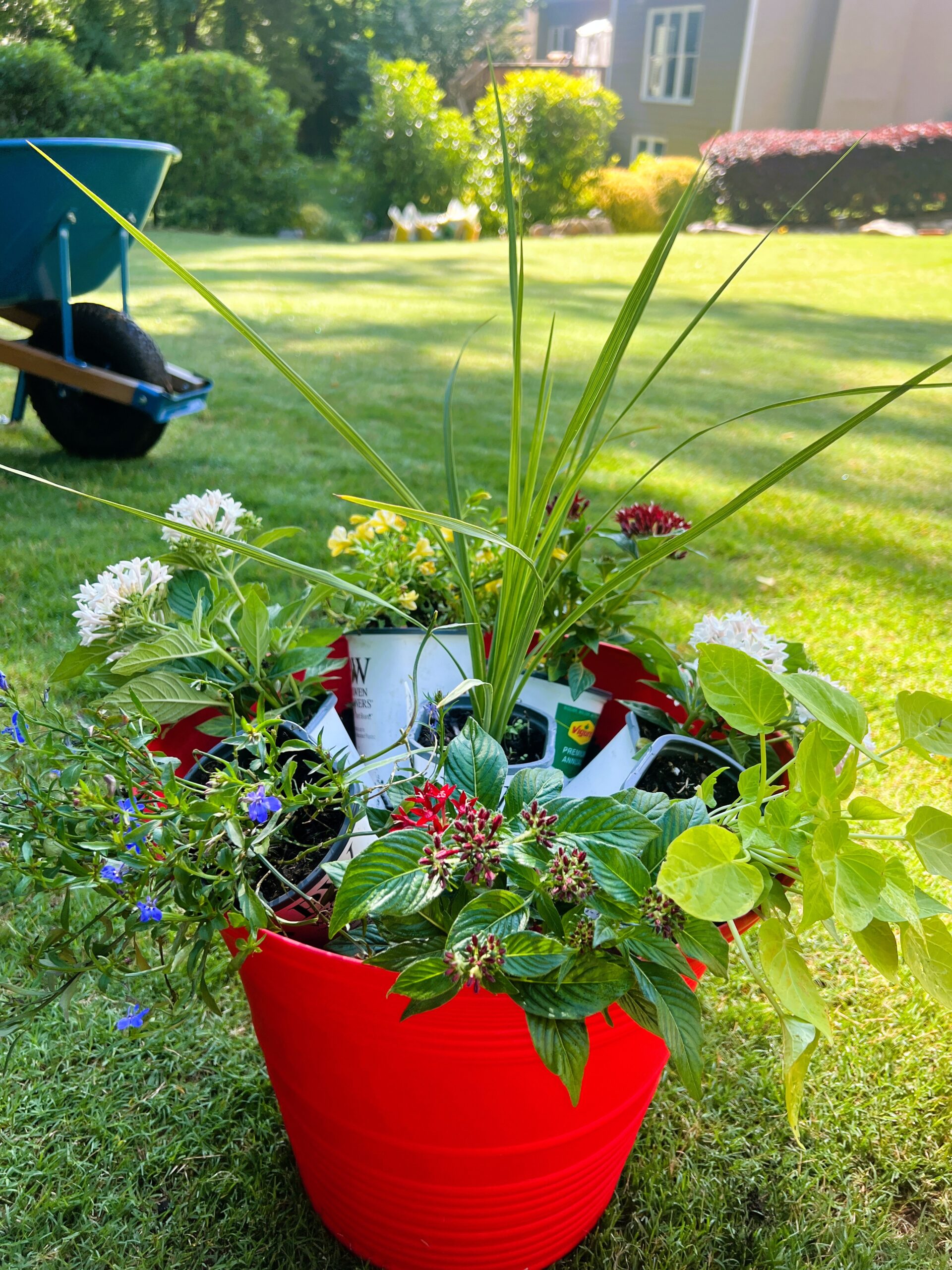 Flowers in Pot - Designing a Military Appreciation Planter with The Home Depot