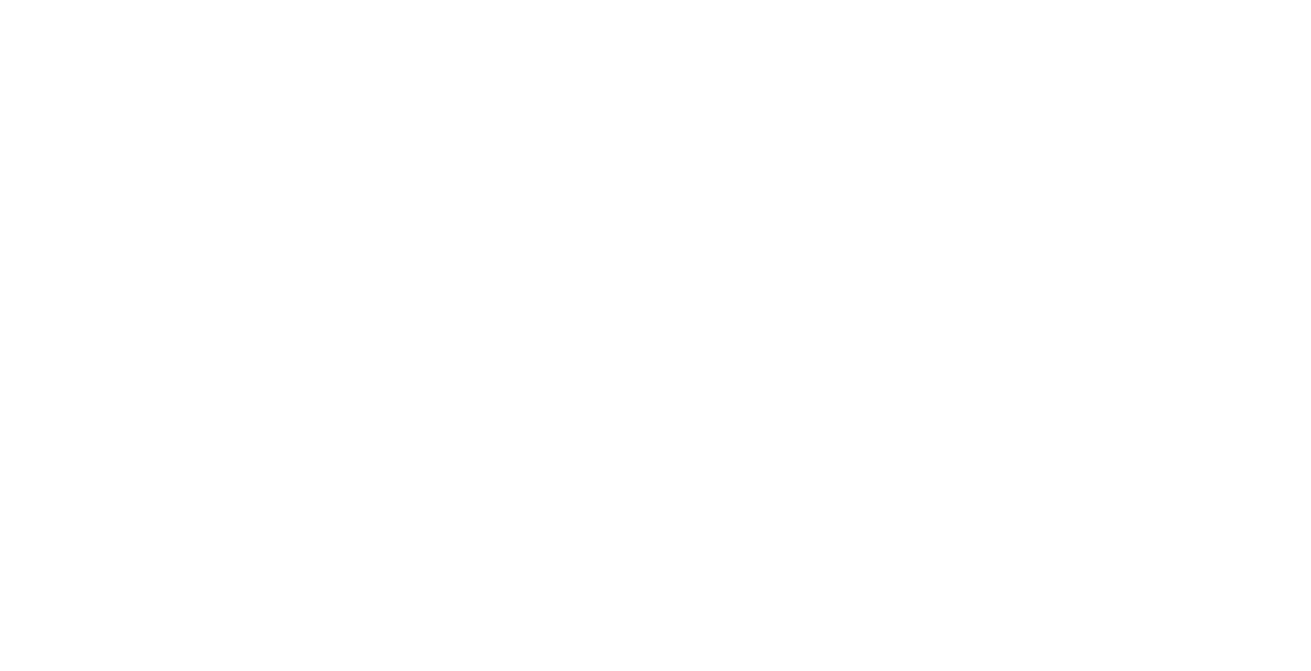 BSF_BlueStar250_Logo_Sep25_Reverse-scaled
