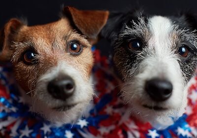 two cute dogs celebrating the 4th of july. at a carnival or fair. realstic and hig res image.. --ar 16:9 --profile stqyl7t --v 7 Job ID: 3336a7f6-3d20-4d0f-8c9a-0c3948fd48de